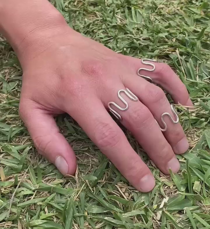 Anillo Culebra